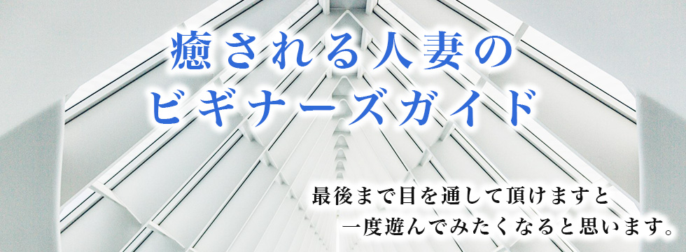 癒される人妻のビギナーズガイド