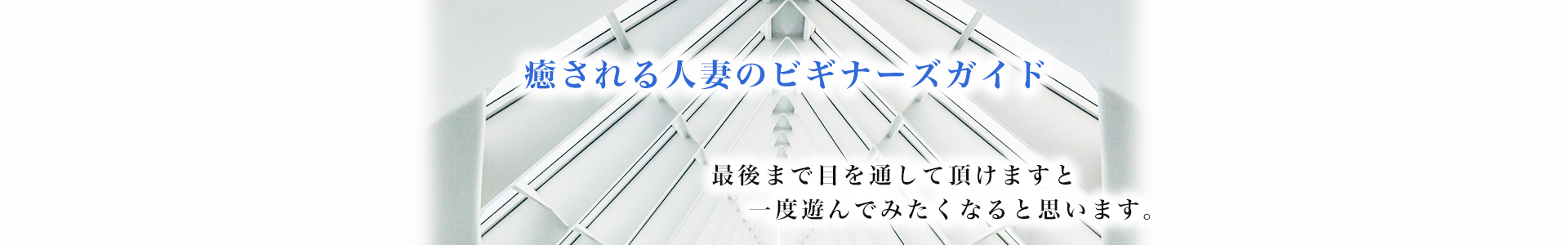 癒される人妻のビギナーズガイド